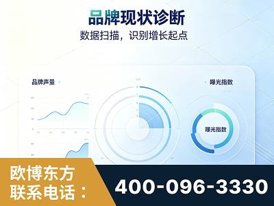 东兴-品牌现状诊断
