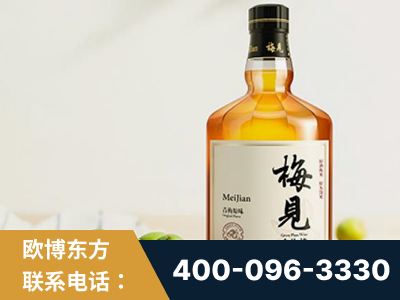 东兴-梅见青梅酒